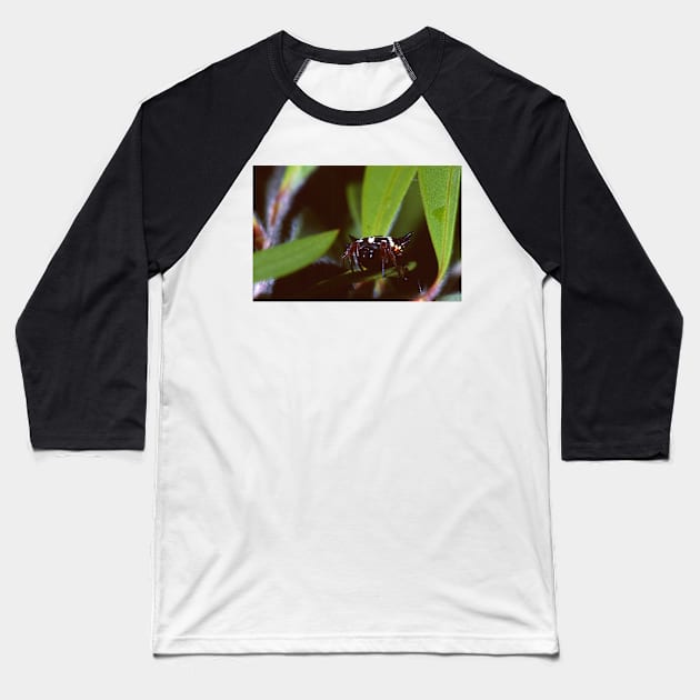 6 Horned Spider Baseball T-Shirt by GP1746